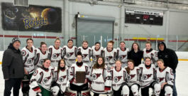 Titans dominate the ice by winning the girls and boys AABHN South hockey titles