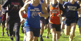 High school cross-country champions crowned