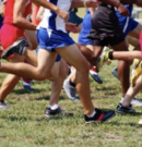 BCI novice boys cross-country team qualifies for OFSAA