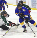 Mustangs ‘exceeding expectations’ in girls hockey